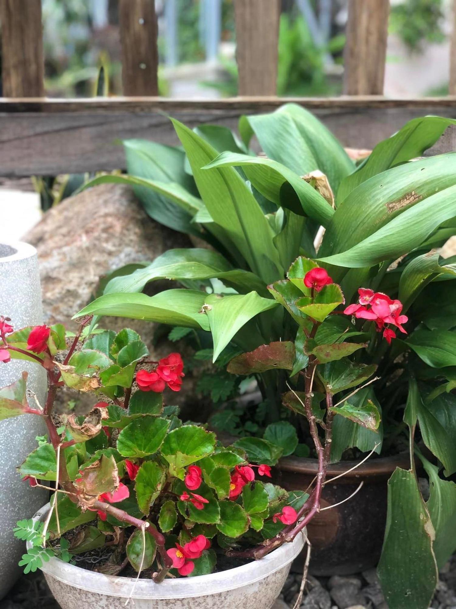Tran Gia Homestay Nghia Lo Exterior foto